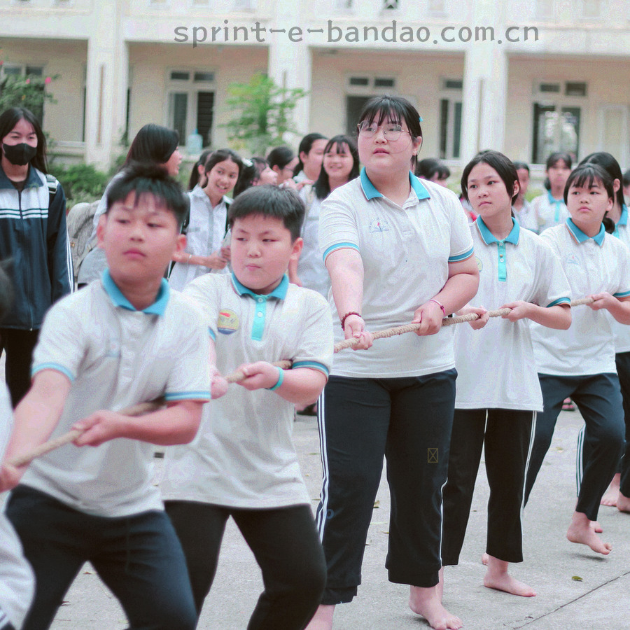 坐标网格与曲线示意图，电光青线条配橙色节点